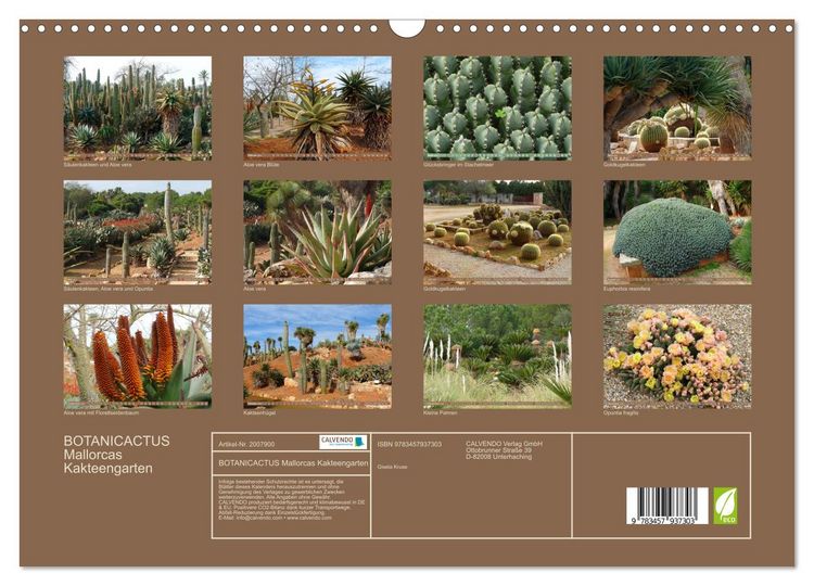 Produktbild: BOTANICACTUS Mallorcas Kakteengarten (Wandkalender 2026 DIN A3 quer), CALVENDO Monatskalender