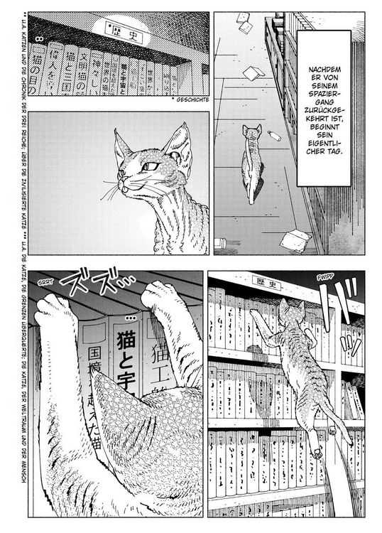 Produktbild: Night of the Living Cat 04 - Die Katze aus einer anderen Welt - D-Rex