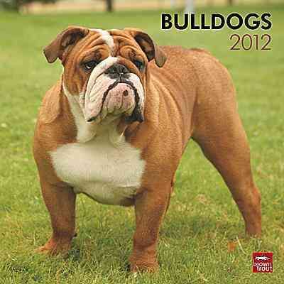 Produktbild: Bulldogs, Brosch&uuml;renkalender 2013