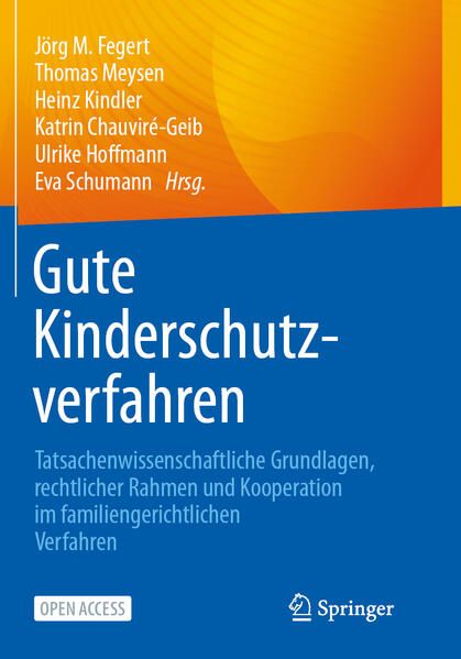 Produktbild: Gute Kinderschutzverfahren