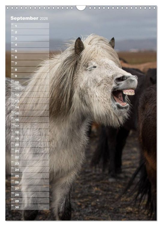 Produktbild: Mein ISLANDPFERDE Planer - Geburtstage, Hof-Feste, Turniere (Wandkalender 2026 DIN A3 hoch), CALVENDO Monatskalender