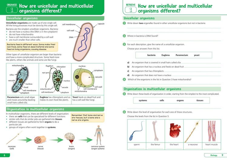 Produktbild: KS3 Science Year 7: Organise and retrieve your knowledge
