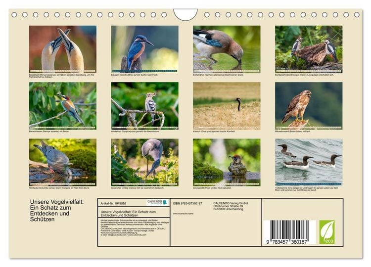 Produktbild: Unsere Vogelvielfalt: Ein Schatz zum Entdecken und Sch&uuml;tzen (Wandkalender 2026 DIN A4 quer), CALVENDO Monatskalender