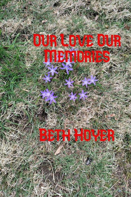 Produktbild: Our Love Our Memories (Edenia, #264)