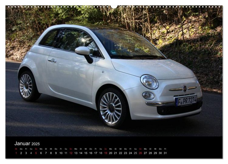 Produktbild: Halbling (Wandkalender 2025 DIN A2 quer), CALVENDO Monatskalender