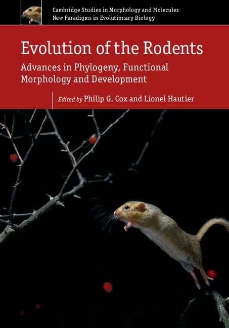 Produktbild: Evolution of the Rodents: Volume 5