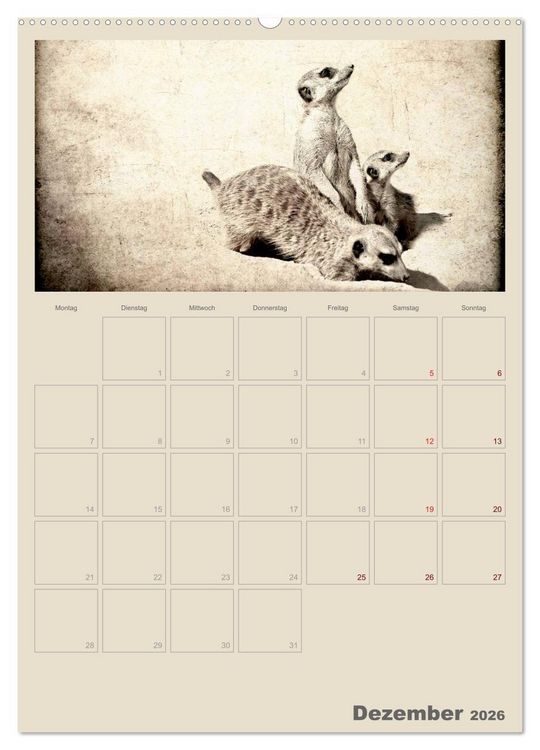 Produktbild: Lustige Erdm&auml;nnchen (Wandkalender 2026 DIN A2 hoch), CALVENDO Monatskalender
