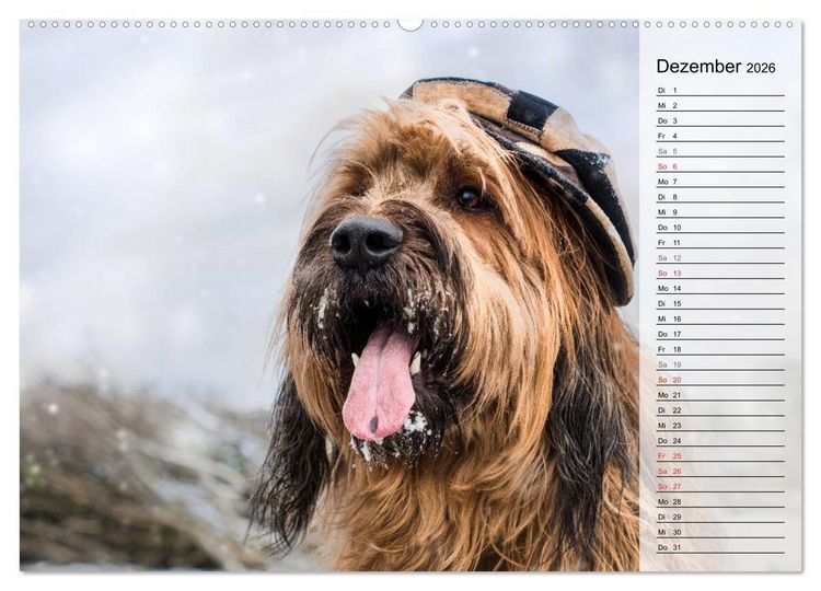 Produktbild: Der Briard 2026 - Ein echter Charmeur (hochwertiger Premium Wandkalender 2026 DIN A2 quer), Kunstdruck in Hochglanz
