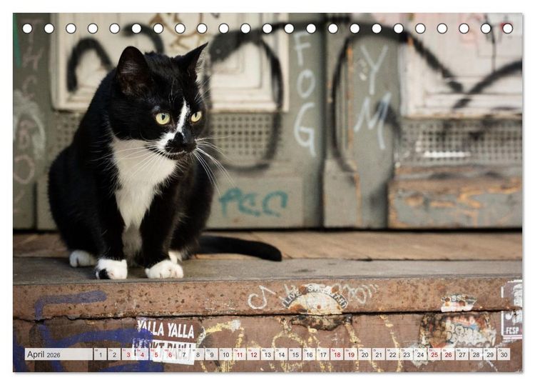 Produktbild: Buntes Hamburg (Tischkalender 2026 DIN A5 quer), CALVENDO Monatskalender