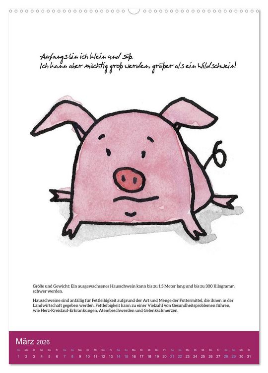 Produktbild: Schweinekalender - Alles was du &uuml;ber Schweine wissen wolltest! (Wandkalender 2026 DIN A2 hoch), CALVENDO Monatskalender