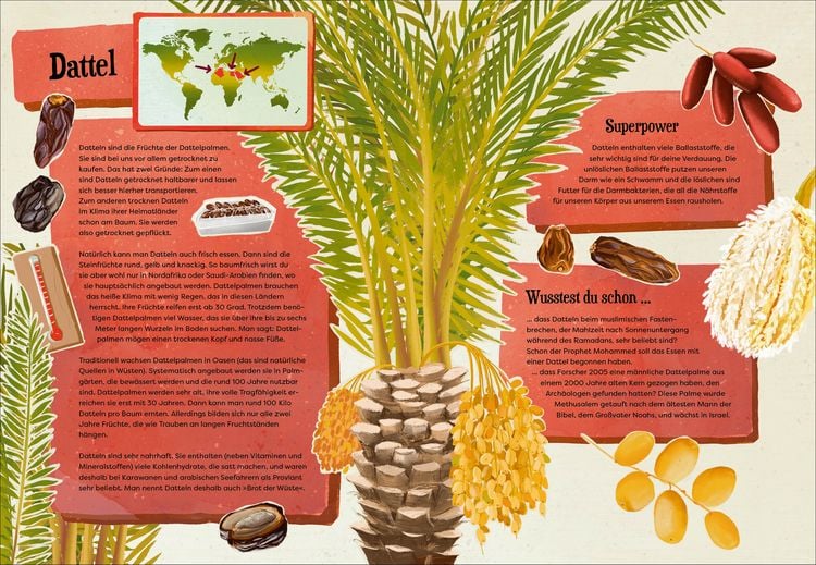 Produktbild: Wei&szlig;t du, wo der Pfeffer w&auml;chst? &ndash; Erstaunliches Wissen von Ananas bis Zimt