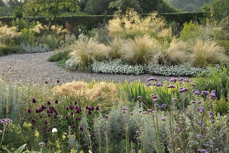 Produktbild: Meine Vision wird Garten