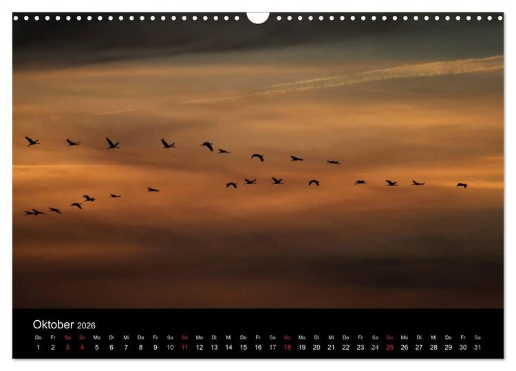 Produktbild: Kraniche (Wandkalender 2026 DIN A3 quer), CALVENDO Monatskalender