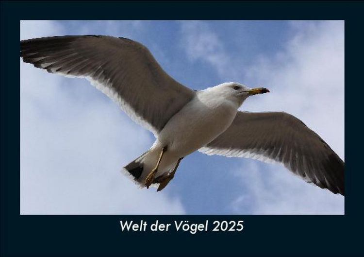 Produktbild: Welt der V&ouml;gel 2025 Fotokalender DIN A5