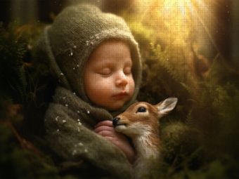 Produktbild: CALVENDO Puzzle Schlummernde Z&auml;rtlichkeit | 1000 Teile Lege-Gr&ouml;&szlig;e 64x48cm Foto-Puzzle f&uuml;r gl&uuml;ckliche Stunden