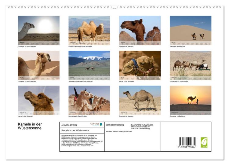 Produktbild: Kamele in der W&uuml;stensonne (hochwertiger Premium Wandkalender 2026 DIN A2 quer), Kunstdruck in Hochglanz