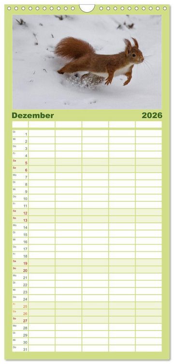Produktbild: Familienplaner 2026 - Mit dem Eichh&ouml;rnchen durchs Jahr mit 5 Spalten (Wandkalender, 21 x 45 cm) CALVENDO