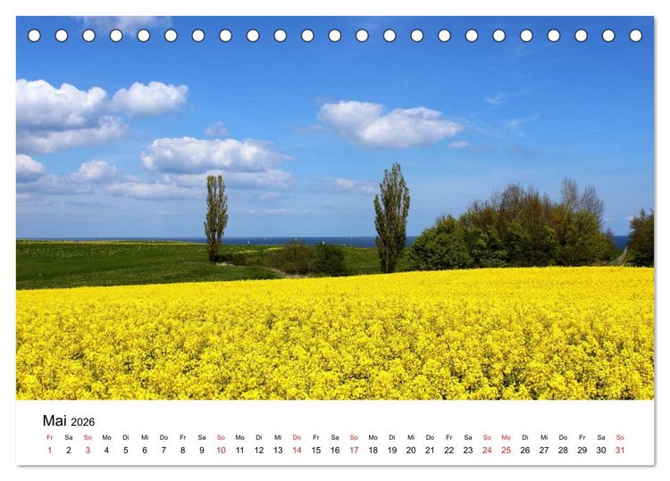 Produktbild: Ostseek&uuml;ste 2026 (Tischkalender 2026 DIN A5 quer), CALVENDO Monatskalender