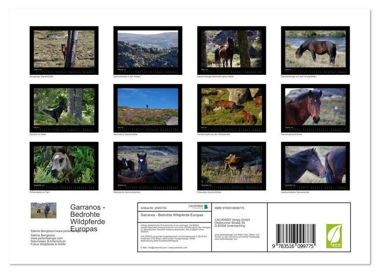 Produktbild: Garranos - Bedrohte Wildpferde Europas (Wandkalender 2026 DIN A4 quer), CALVENDO Monatskalender