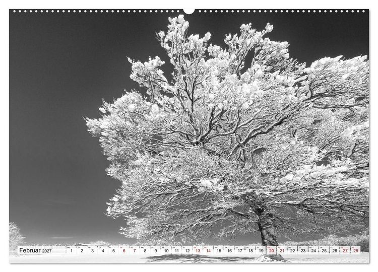 Produktbild: Traumhafte Allg&auml;uer Alpen (hochwertiger Premium Wandkalender 2027 DIN A2 quer), Kunstdruck in Hochglanz