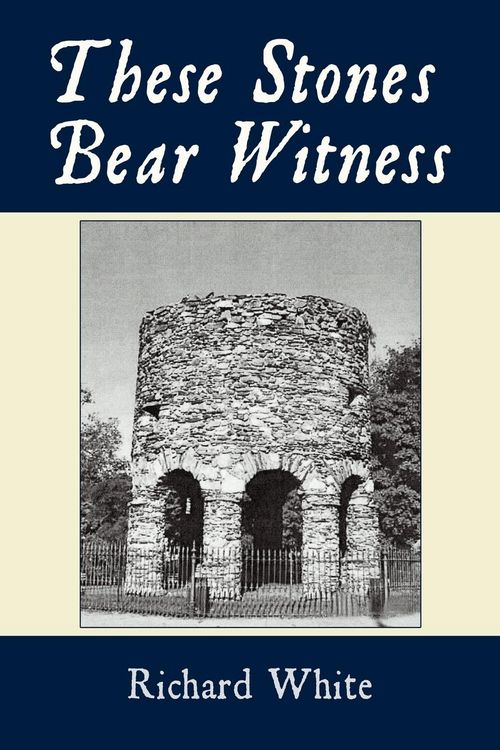 Produktbild: These Stones Bear Witness