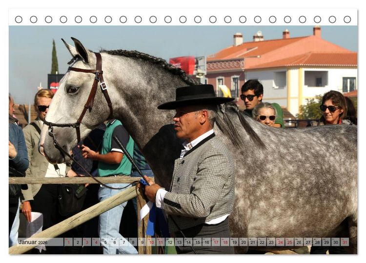 Produktbild: Portugal - Pferdefestival von Goleg&atilde; (Tischkalender 2026 DIN A5 quer), CALVENDO Monatskalender