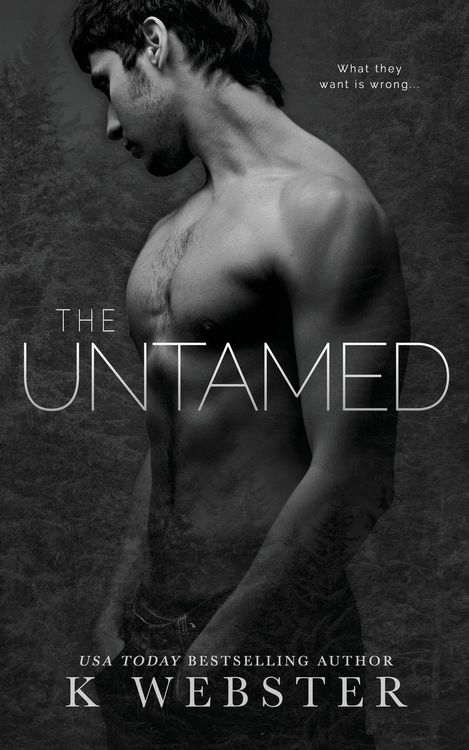 Produktbild: The Untamed