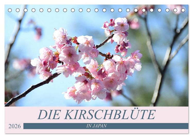 Produktbild: Die Kirschbl&uuml;te in Japan (Tischkalender 2026 DIN A5 quer), CALVENDO Monatskalender