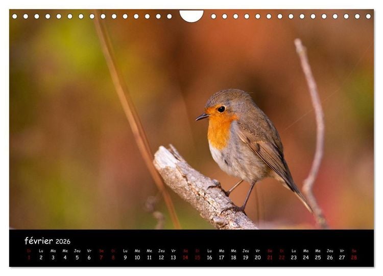 Produktbild: La nature pr&egrave;s de chez vous (Calendrier mural 2026 DIN A4 vertical), CALVENDO calendrier mensuel