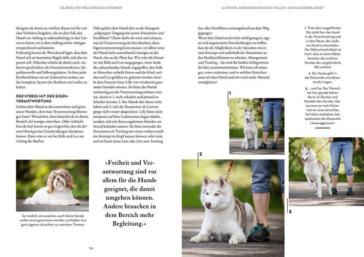 Produktbild: Resilienz bei Hunden