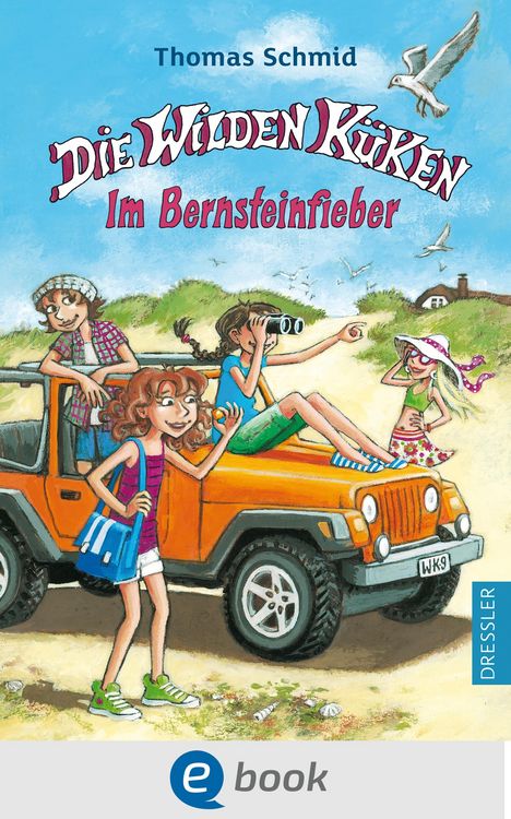 Produktbild: Die Wilden K&uuml;ken 9. Im Bernsteinfieber