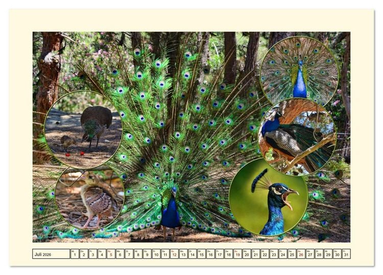 Produktbild: Natur und Kultur der Insel Kos (hochwertiger Premium Wandkalender 2026 DIN A2 quer), Kunstdruck in Hochglanz