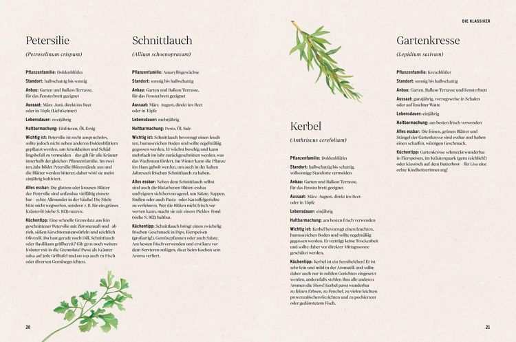 Produktbild: Unsere kreative Kr&auml;uterk&uuml;che