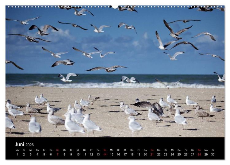 Produktbild: Frankreich Normandie (Wandkalender 2026 DIN A2 quer), CALVENDO Monatskalender