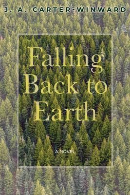 Produktbild: Falling Back To Earth