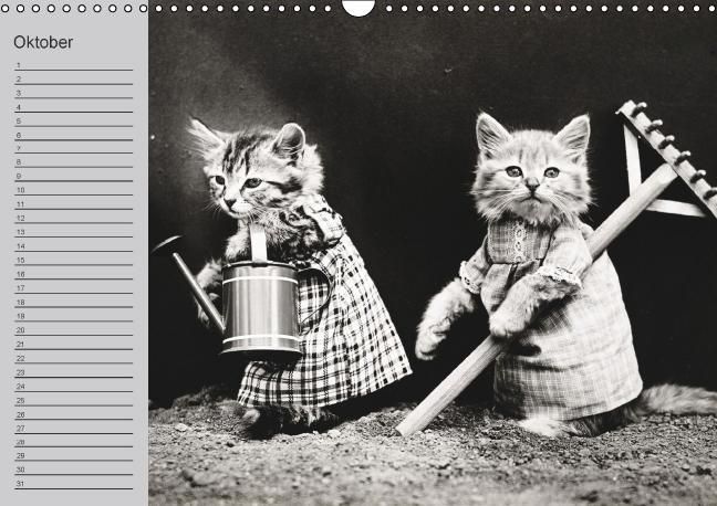 Produktbild: Katzen und Hunde - Nostalgie auf Pfoten (Wandkalender immerw&auml;hrend DIN A3 quer)