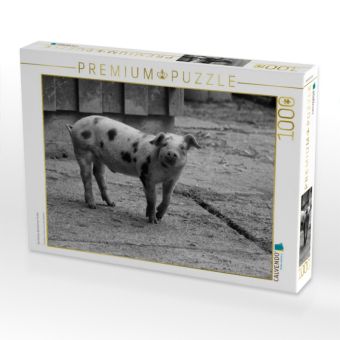 Produktbild: CALVENDO Puzzle Gl&uuml;ckliches Bentheimer Ferkel | 1000 Teile Lege-Gr&ouml;&szlig;e 64x48cm Foto-Puzzle f&uuml;r gl&uuml;ckliche Stunden