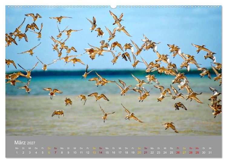 Produktbild: Lamu - Geheimtipp in Kenia (Wandkalender 2027 DIN A2 quer), CALVENDO Monatskalender
