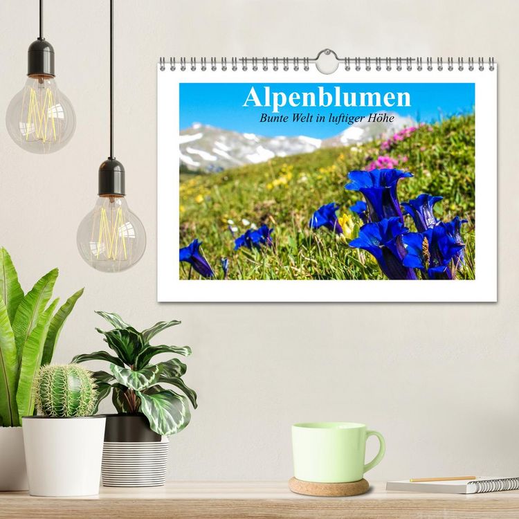 Produktbild: Alpenblumen. Bunte Welt in luftiger H&ouml;he (Wandkalender 2026 DIN A4 quer), CALVENDO Monatskalender