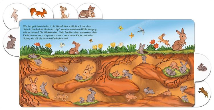 Produktbild: Schau mal, die Tierkinder