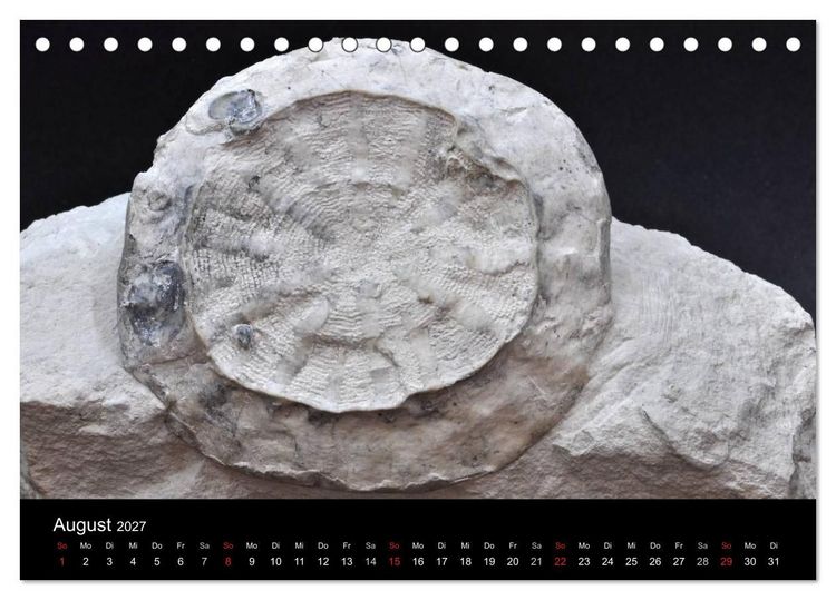 Produktbild: Fossilien - Zeugen der Urzeit (Tischkalender 2027 DIN A5 quer), CALVENDO Monatskalender