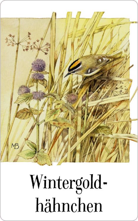 Produktbild: Schachtelspiel: Zauberhaftes Vogel-Memo (M. Bastin)