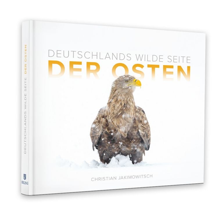 Produktbild: Der Osten