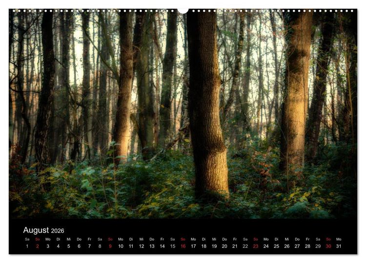 Produktbild: Mystische W&auml;lder (hochwertiger Premium Wandkalender 2026 DIN A2 quer), Kunstdruck in Hochglanz