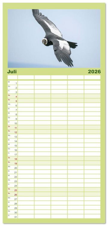 Produktbild: Familienplaner 2026 - Wildlife S&uuml;damerika mit 5 Spalten (Wandkalender, 21 x 45 cm) CALVENDO