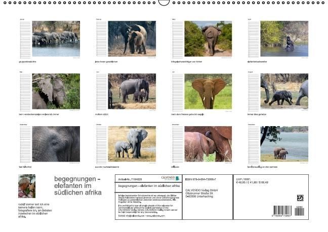 Produktbild: begegnungen - elefanten im s&uuml;dlichen afrika (Wandkalender immerw&auml;hrend DIN A2 quer)
