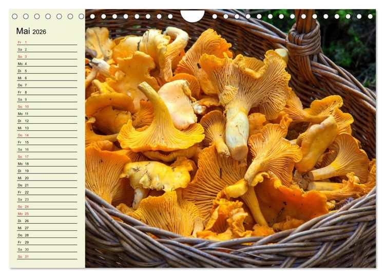Produktbild: Pilze und Pilzgerichte (Wandkalender 2026 DIN A4 quer), CALVENDO Monatskalender