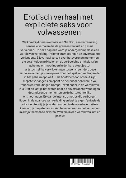 Produktbild: Het sollicitatiegesprek