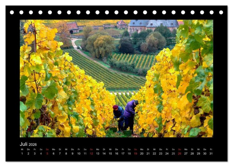 Produktbild: Wein - Reben, Wingerte und historische Weinkeller (Tischkalender 2026 DIN A5 quer), CALVENDO Monatskalender