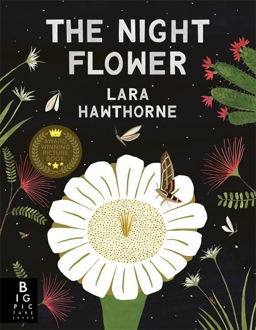 Produktbild: The Night Flower